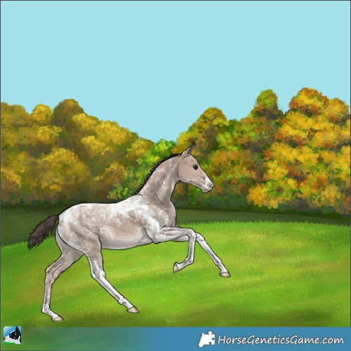 Horse Color:Classic Champagne Ice Tobiano 