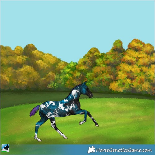 Horse Color:Painted White Spotted Brown Ice 