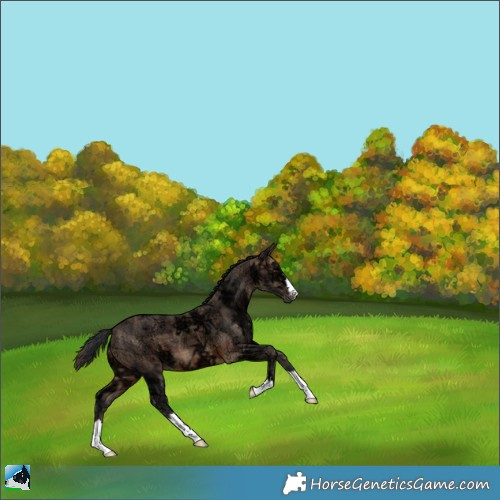 Horse Color:Plaid  Brown Ice 