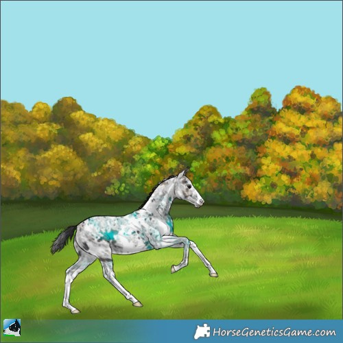 Horse Color:Plaid  White Spotted Black Ice 