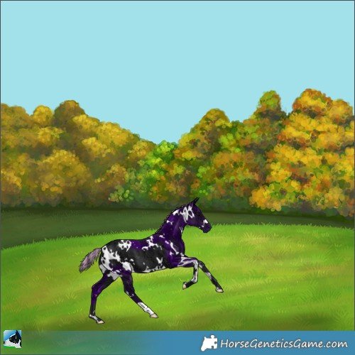 Horse Color:Painted White Spotted Black Ice 