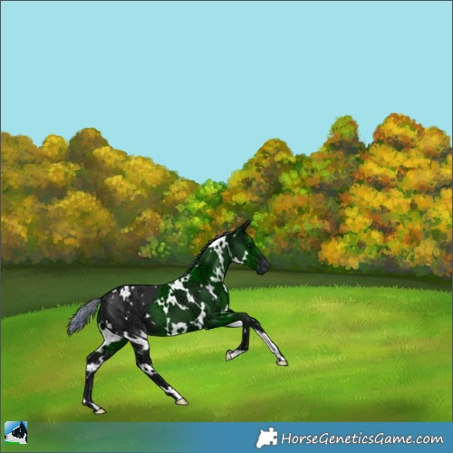 Horse Color:Painted White Spotted Black Ice 