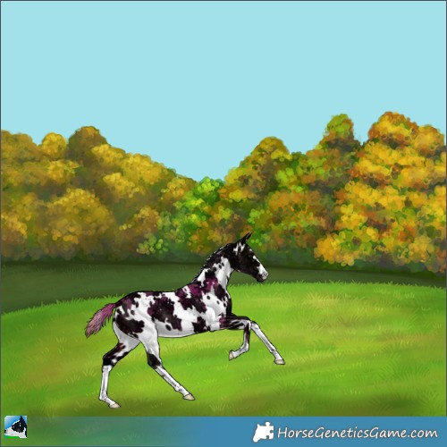 Horse Color:Plaid  White Spotted Brown Ice 