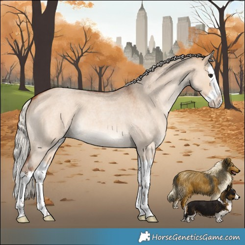 Horse Color:Silver Bay Roan Dun Splash 