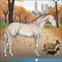 Horse Color:Silver Bay Roan Dun Splash