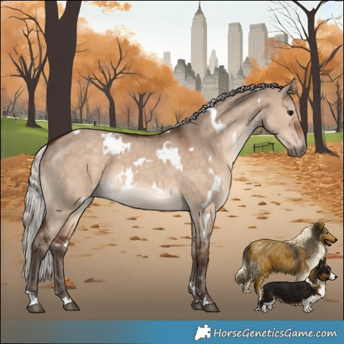 Horse Color:White Spotted Silver Brown Dun 