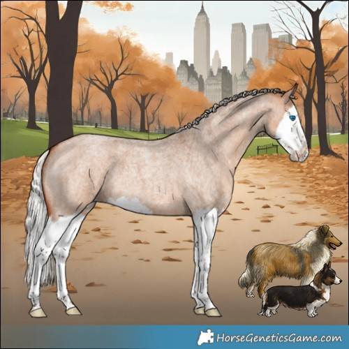 Horse Color:Silver Bay Roan Dun Splash 