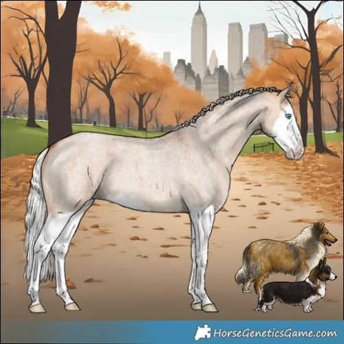 Horse Color:Silver Bay Roan Dun Splash 