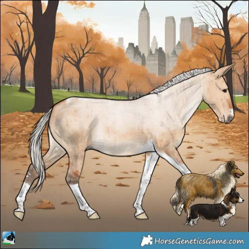 Horse Color:Silver Bay Dun Tobiano Brindle 