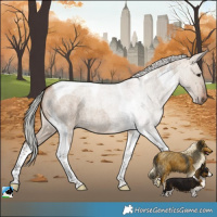Horse Color:Silver Bay Roan Dun Tobiano Brindle 