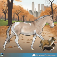 Horse Color:Silver Bay Dun Tobiano 