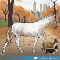 Horse Color:Silver Brown Roan Dun Tobiano