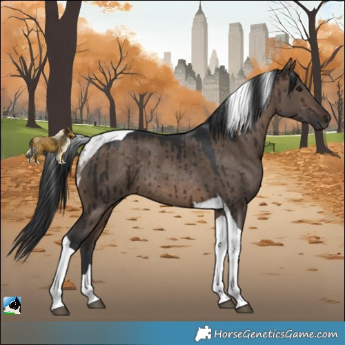 Horse Color:Brown Dun Tobiano Rabicano Brindle
