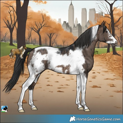 Horse Color:Brown Dun Tobiano Frame Rabicano Brindle