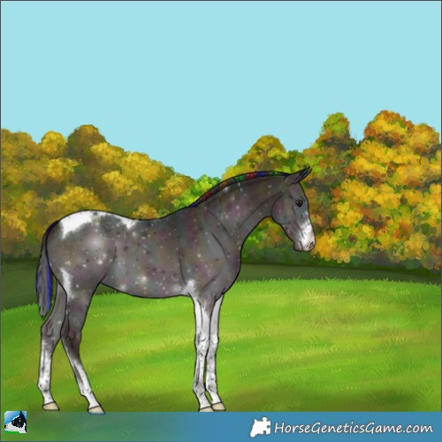 Horse Color:Painted White Spotted Midnight Buckskin Ice Onyx Tobiano 