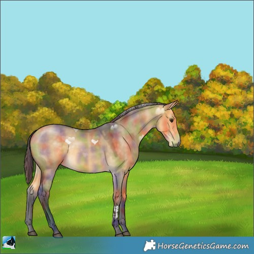 Horse Color:Nacre Buckskin Dun 