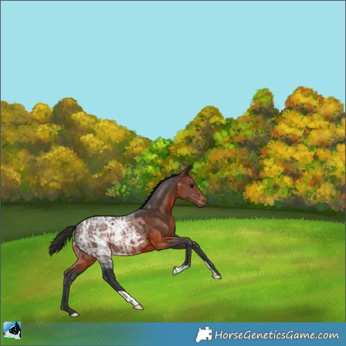 Horse Color:Brown Ice 