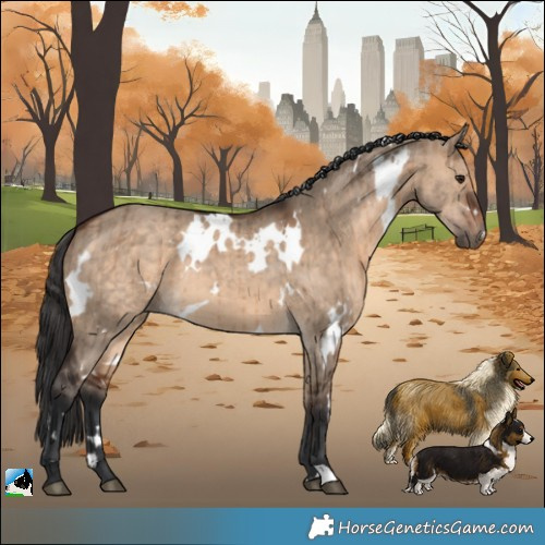 Horse Color:White Spotted Bay Dun Brindle 