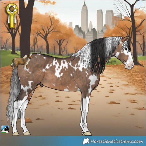 Horse Color:White Spotted Bay Dun Splash Brindle 