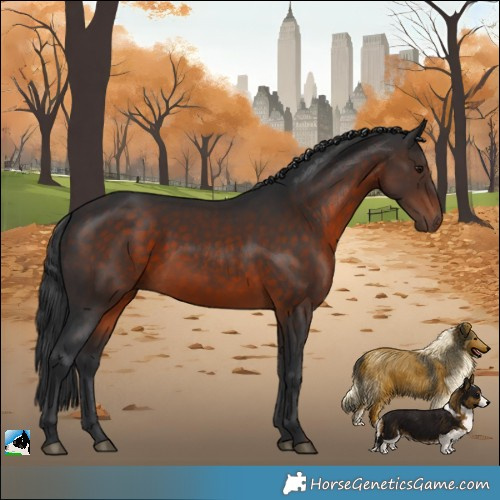 Horse Color:Brown Rabicano