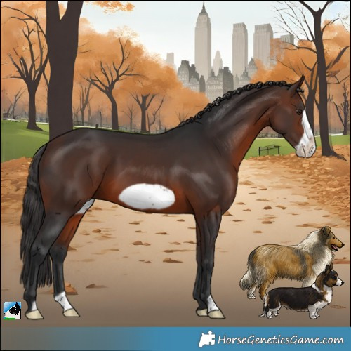 Horse Color:Brown Frame