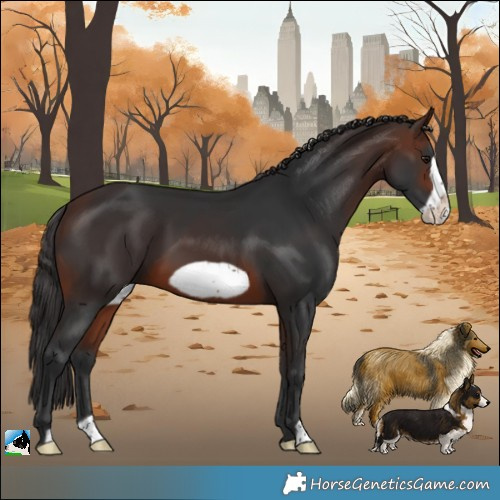 Horse Color:Brown Frame 