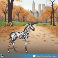 Horse Color:White Spotted Brown Appaloosa