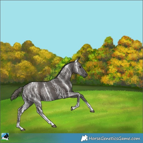 Horse Color:Liver Chestnut Ice Mushroom Tobiano