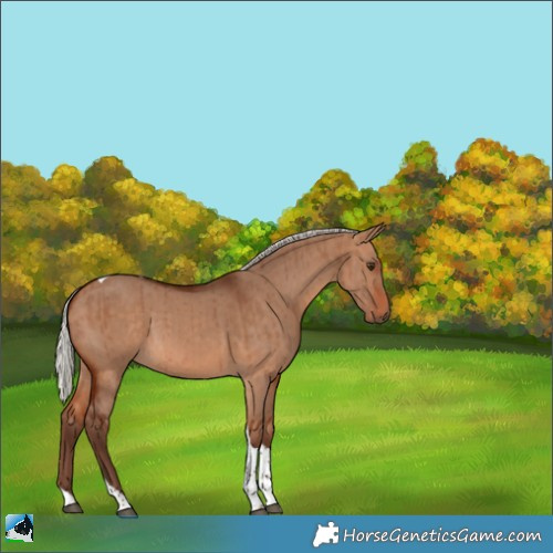 Horse Color:Silver Bay Dun Tobiano Brindle 