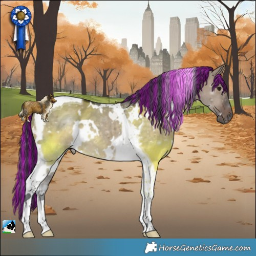 Horse Color:Painted White Spotted Brown Dun Tobiano 