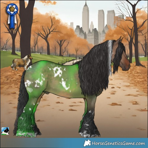 Horse Color:White Spotted Brown Dun 