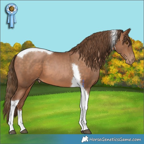 Horse Color:Brown Pearl Tobiano