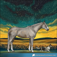 Horse Color:Silver Buckskin 