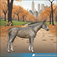 Horse Color:Silver Buckskin