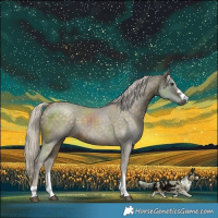 Horse Color:Silver Buckskin 