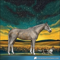 Horse Color:Silver Buckskin