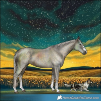 Horse Color:Silver Buckskin 