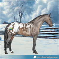 Horse Color:Brown Dun Blanket