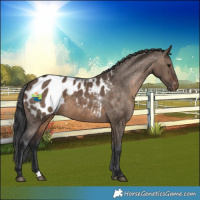 Horse Color:Brown Dun Blanket 