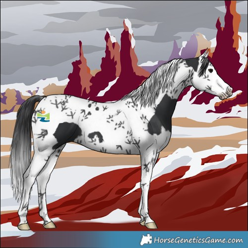Horse Color:Black Splash Tobiano 
