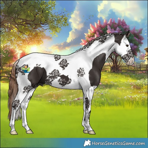 Horse Color:Liver Chestnut Splash Tobiano 