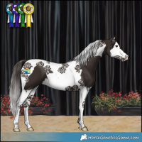 Horse Color:Liver Chestnut Splash Tobiano 