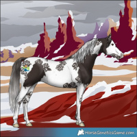Horse Color:Liver Chestnut Splash Tobiano 