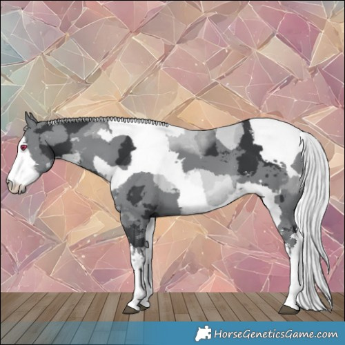 Horse Color:White Spotted Silver Black Chinchilla Merle