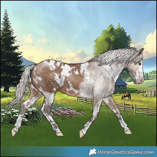 Horse Color:White Spotted Silver Brown Dun 