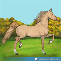 Horse Color:Red Dun 