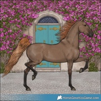 Horse Color:Liver Red Dun 
