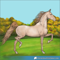Horse Color:Gold Champagne Pearl Rabicano  and Gold Champagne Pearl Rabicano 
