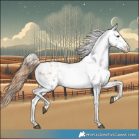 Horse Color:Red Dun Appaloosa  and Red Dun Appaloosa 