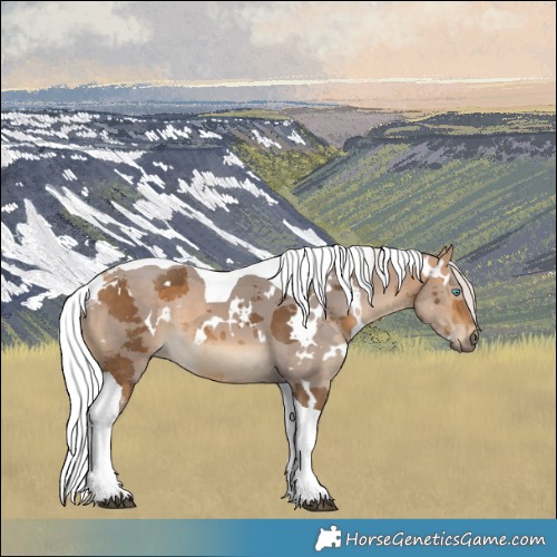 Horse Color:White Spotted Silver Buckskin Merle Tobiano 